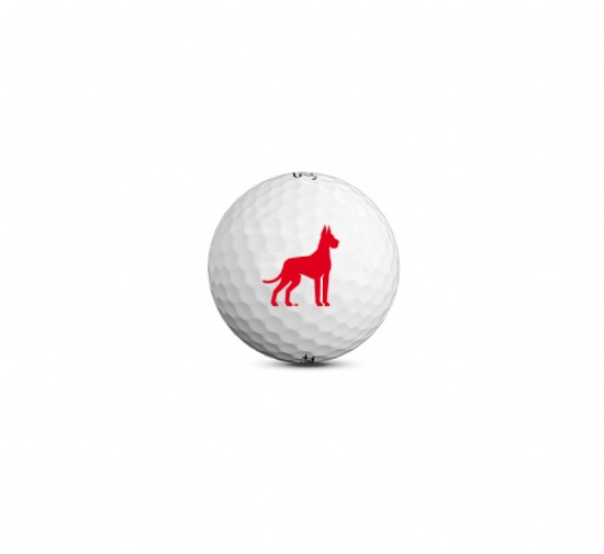 Titleist Pro V1 Golf Balls (dozen)