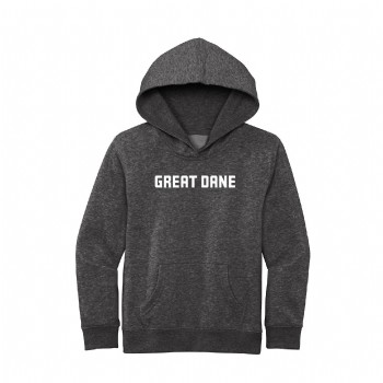 District Youth Hoodie